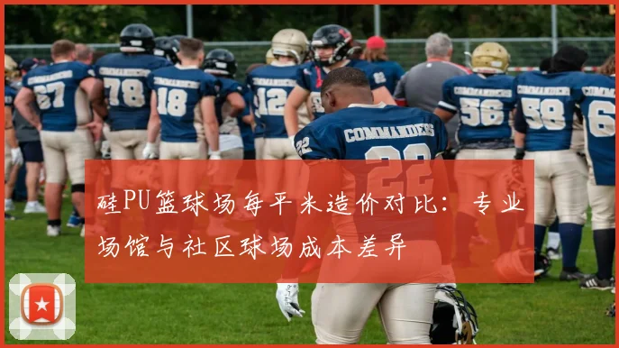 硅PU篮球场每平米造价对比:专业场馆与社区球场成本差异